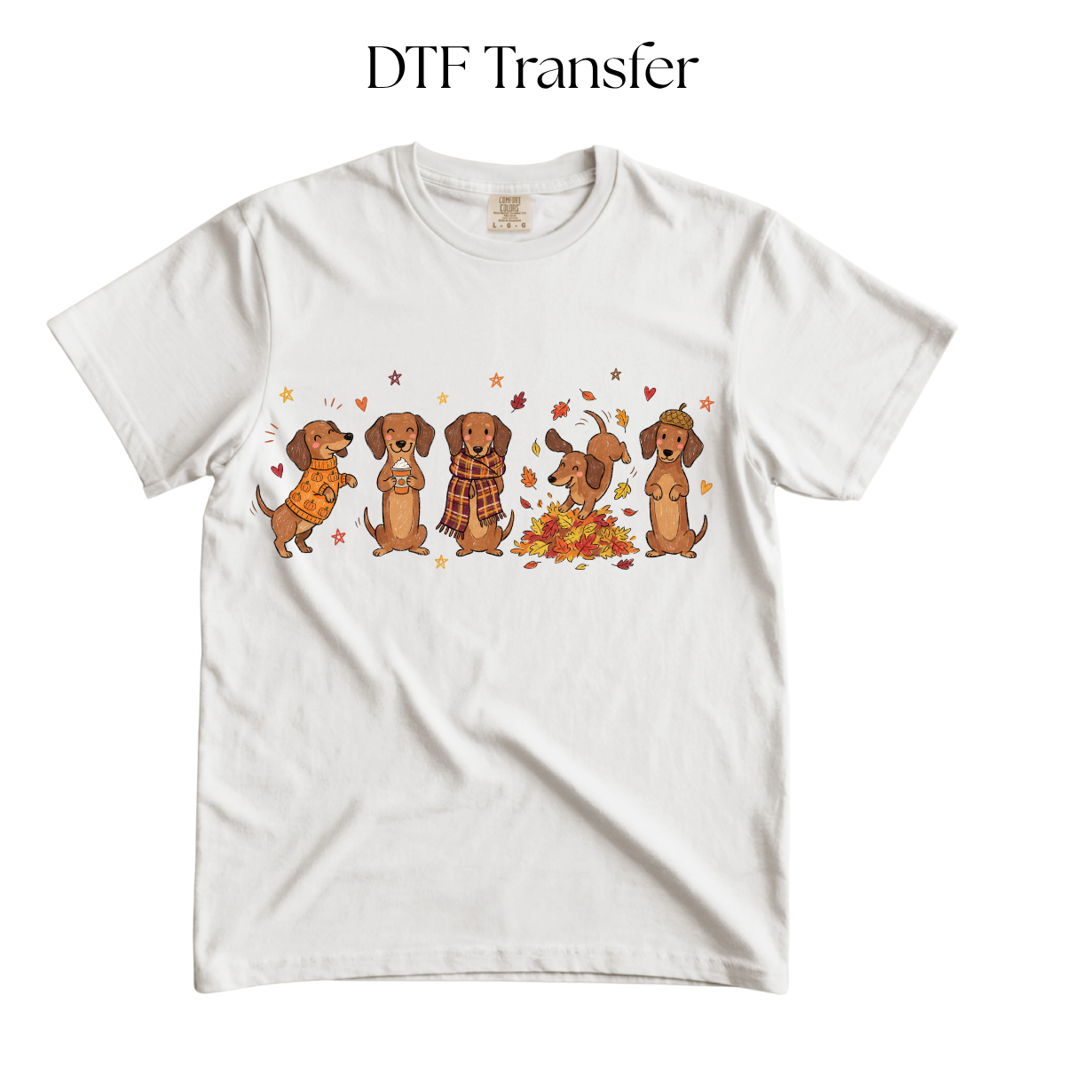 Fall Dachshund Doodles DTF Transfer