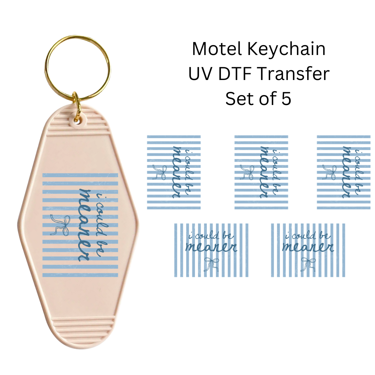 I Could be Meaner Set of 5 Keychain Transfers