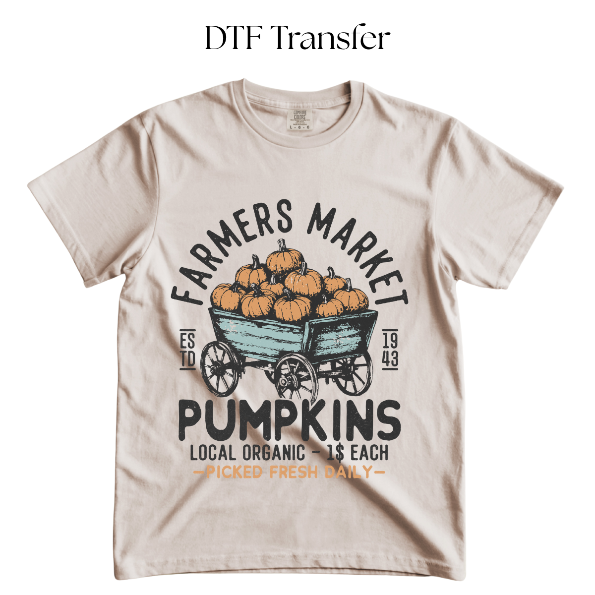 Farmers Market Pumpkins DTF Transfer