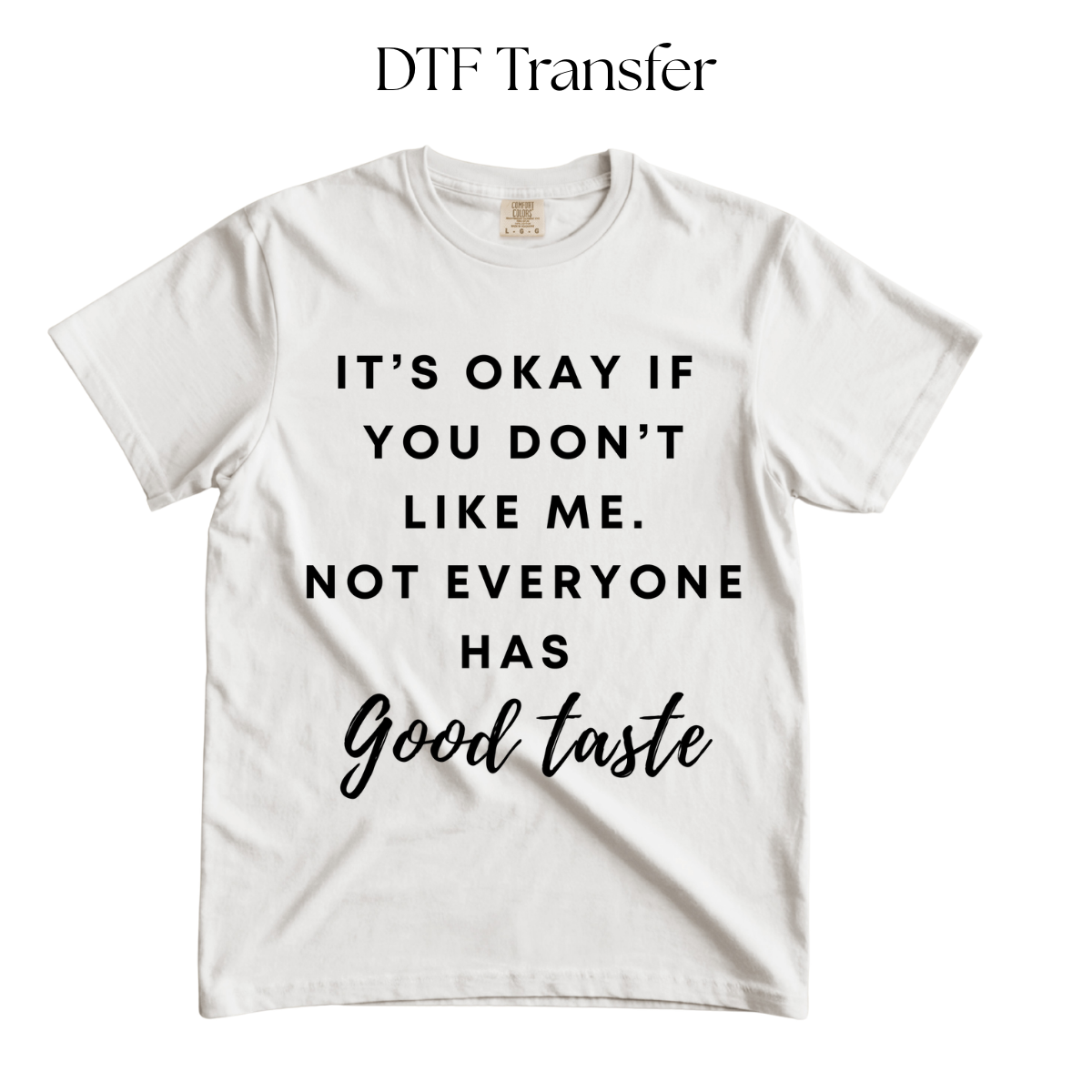 Not Everyone Has Good Taste Single Color DTF Transfer