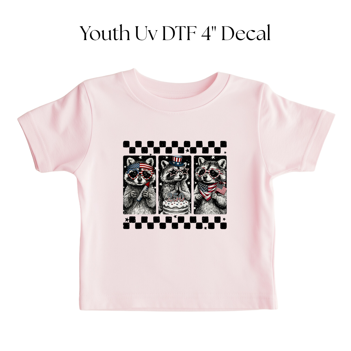 YOUTH Patriotic Raccoon DTF Transfer