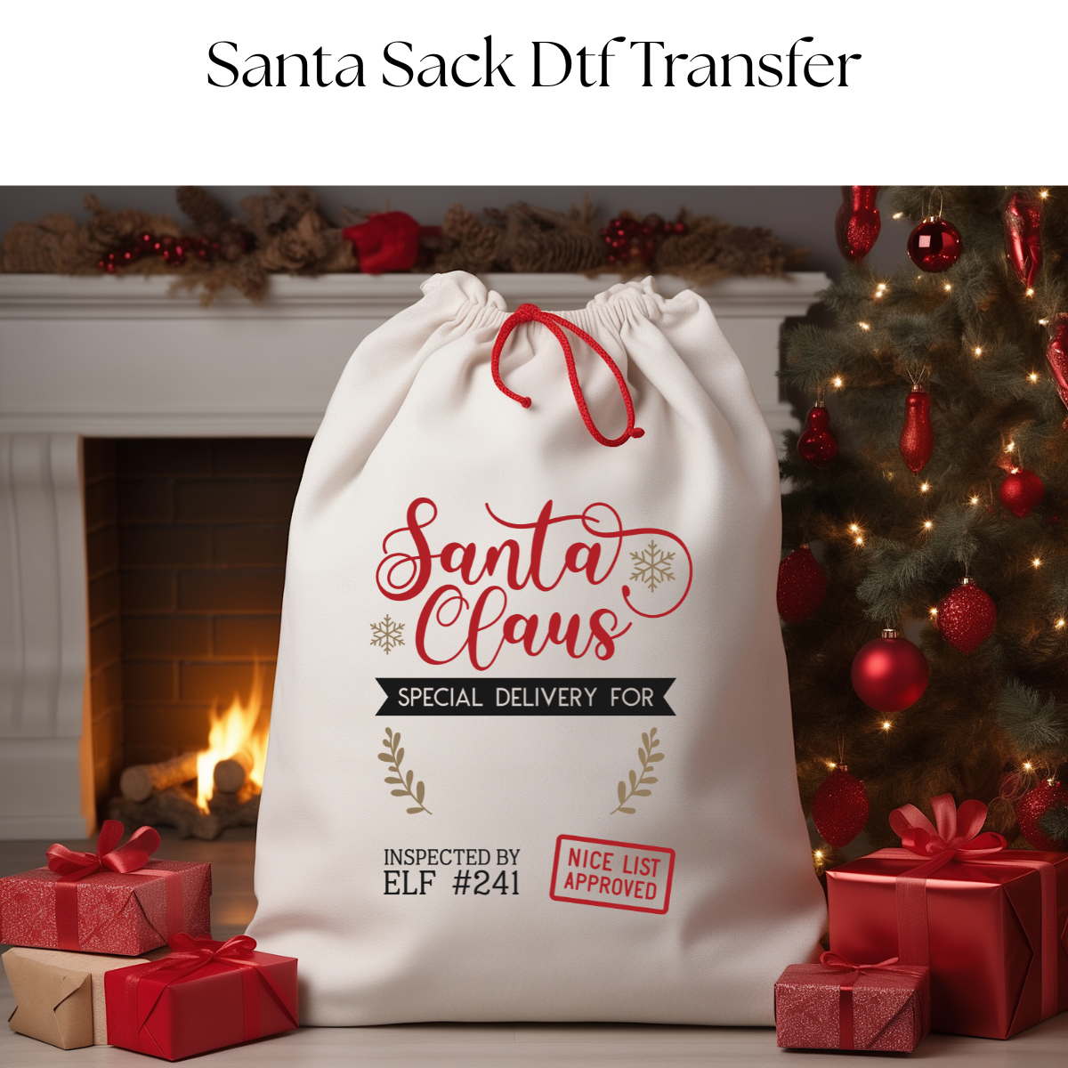 Santa Clause Delivery Stanta Sack DTF Transfer
