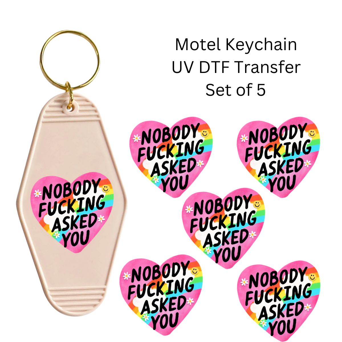 Nobody Fucking Asked You Set of 5 Keychain Transfers