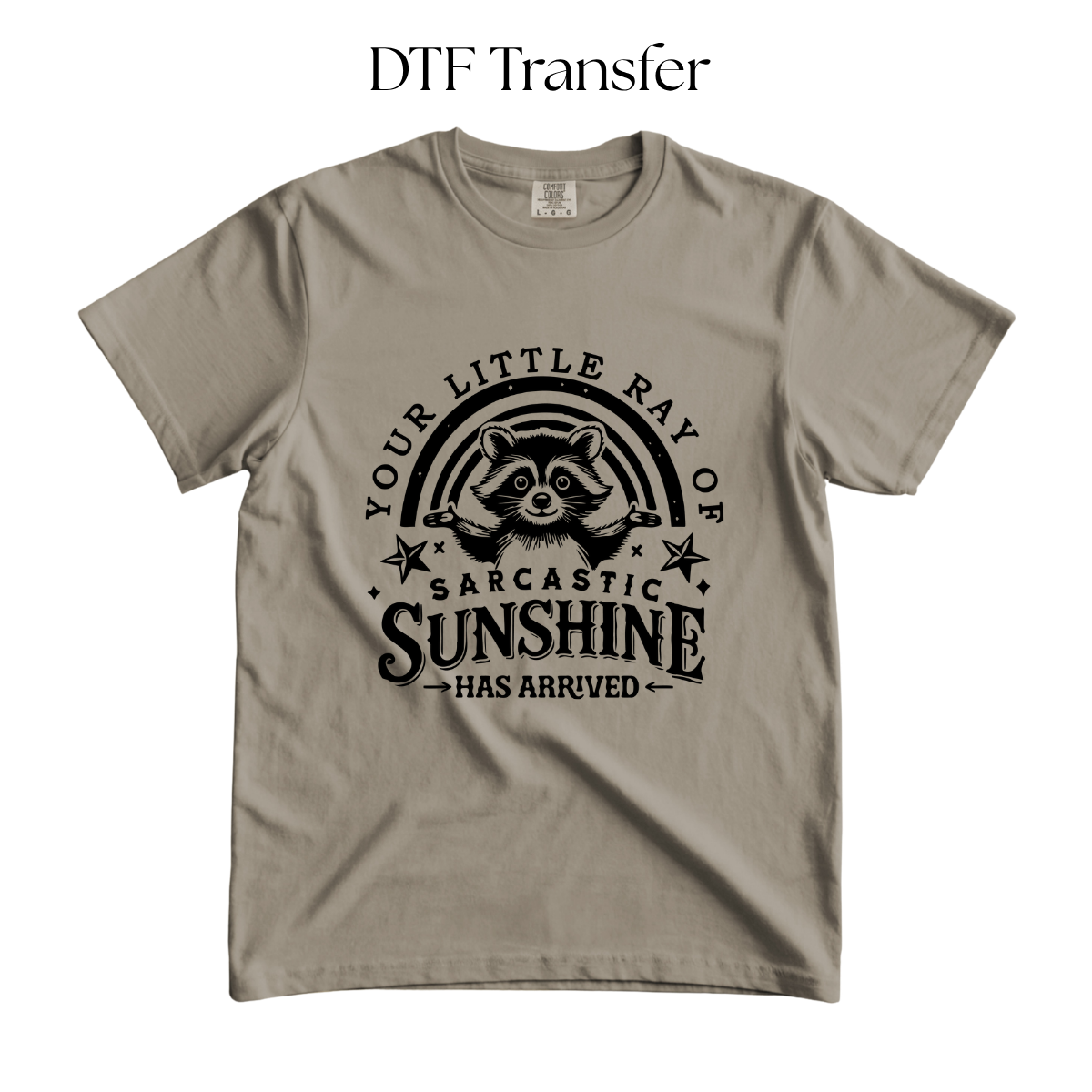 Your Little Ray of Sarcastic Sunshine Single Color DTF Transfer
