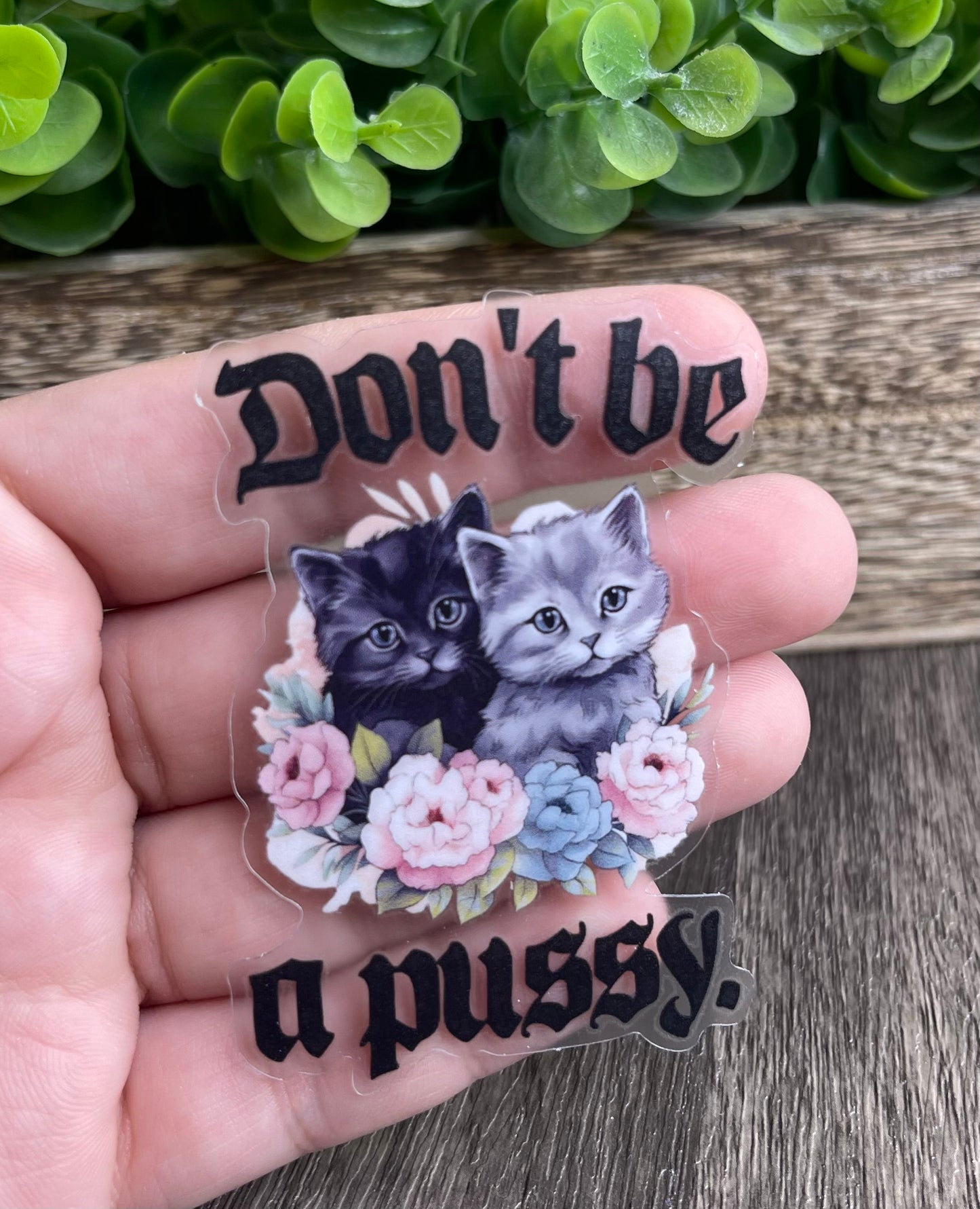 Don't Be A Puss Vinyl Sticker