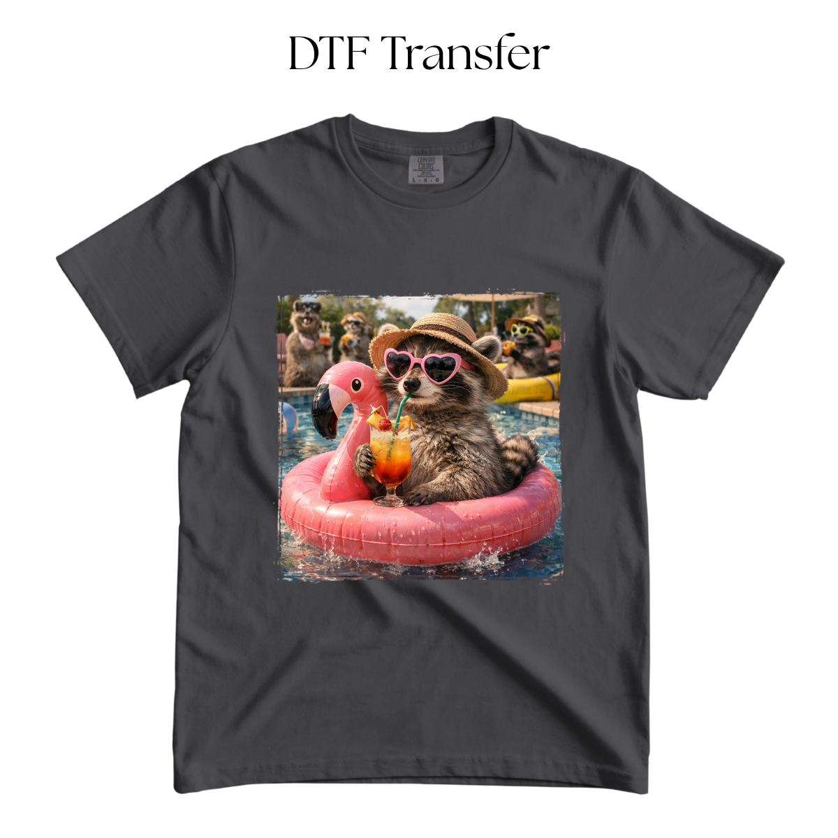 Pool Raccoon DTF Transfer