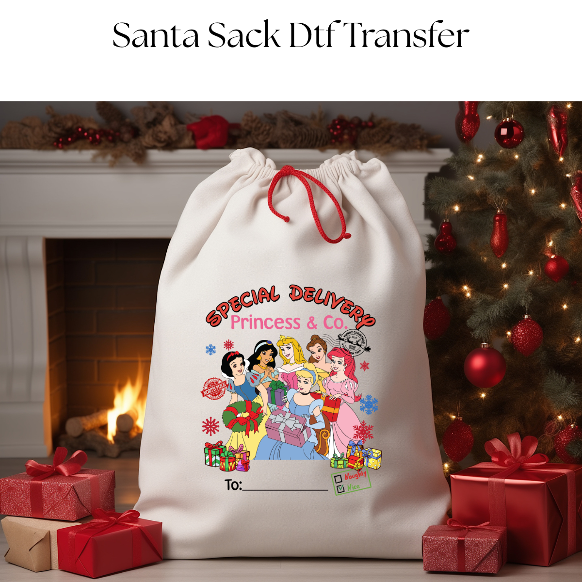 Princess Santa Sack DTF Transfer