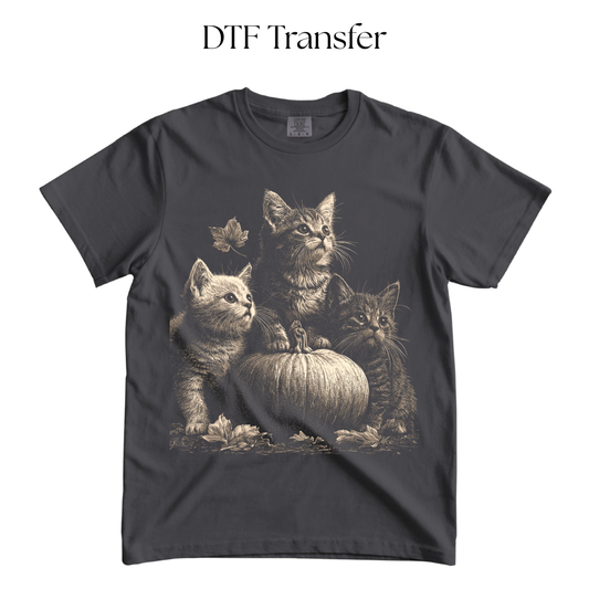 Fall Kittens Single Color DTF Transfer (Press on Black)