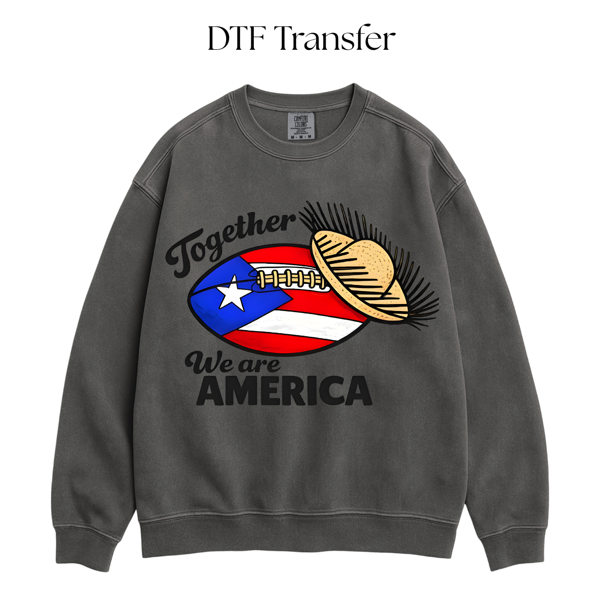 Together We Are America DTF Transfer