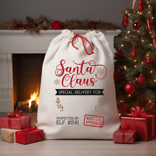 Santa Claus Santa Sack DTF