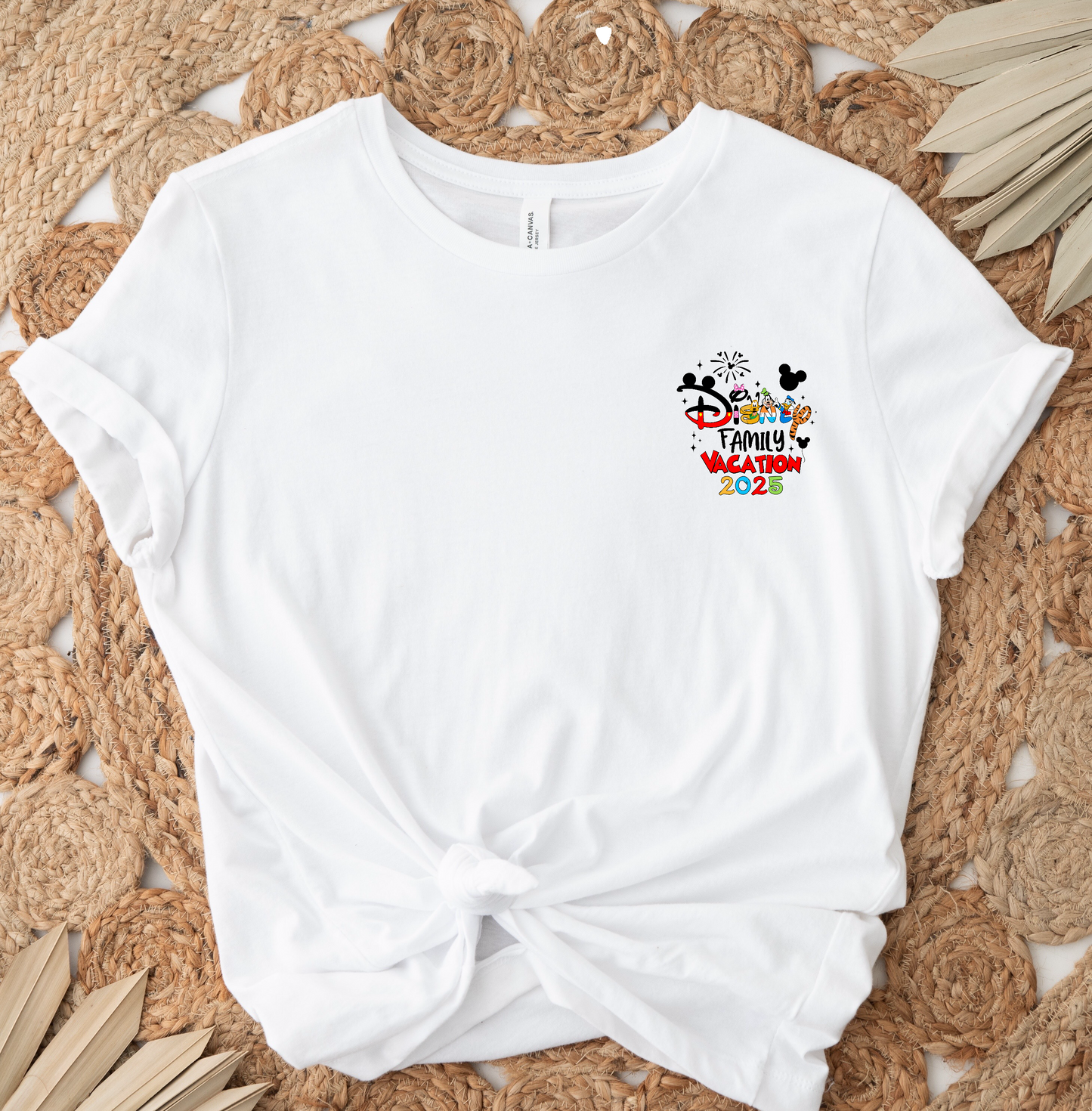 Magical Land Vacation ADULT/YOUTH DTF TRANSFER