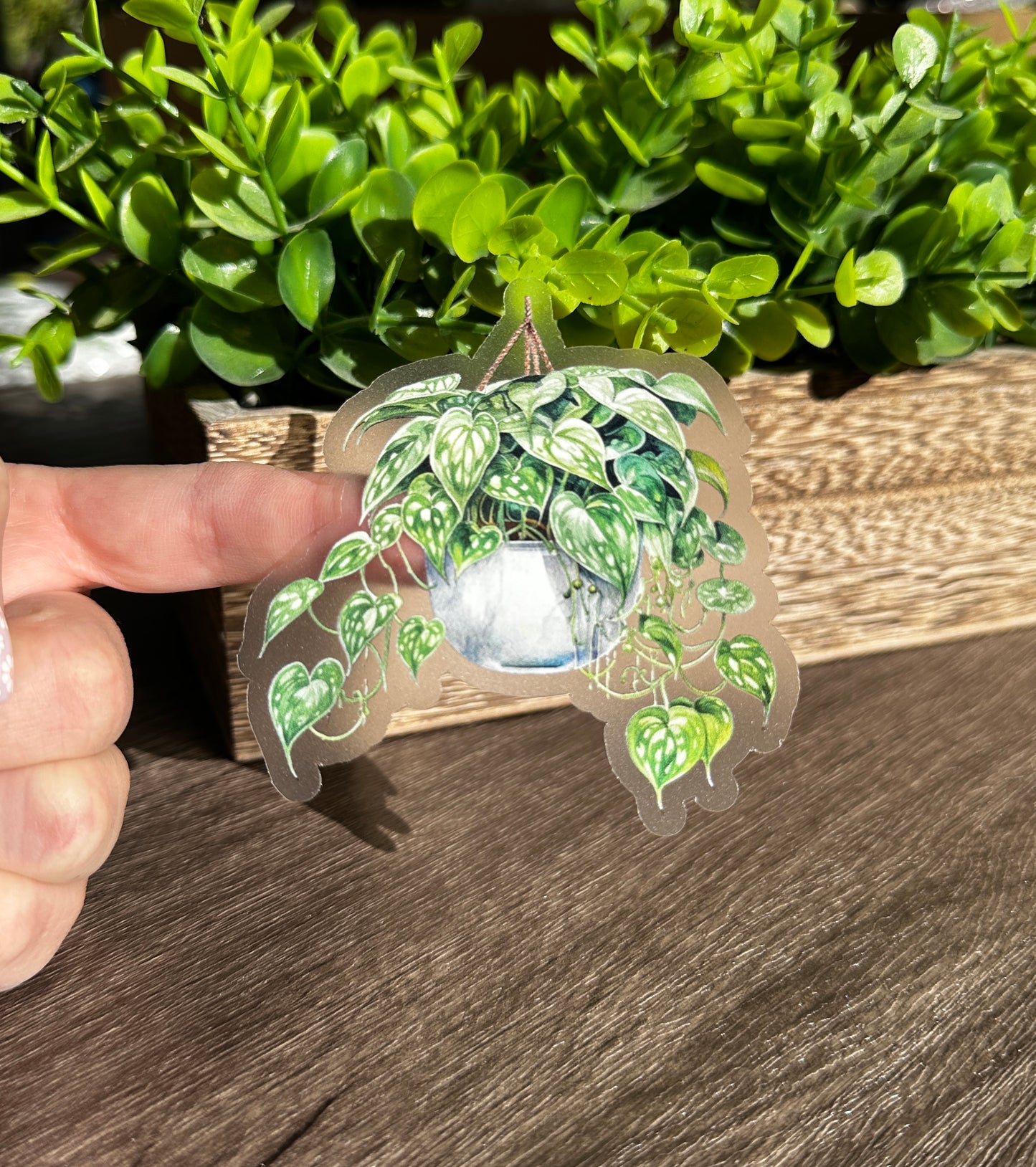 Hanging Plants Clear Vinyl Sticker