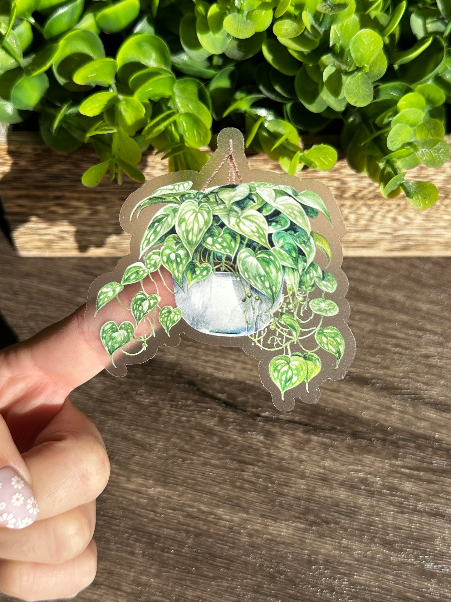 Hanging Plants Clear Vinyl Sticker