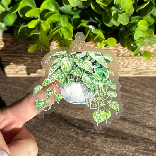 Hanging Plants Clear Vinyl Sticker