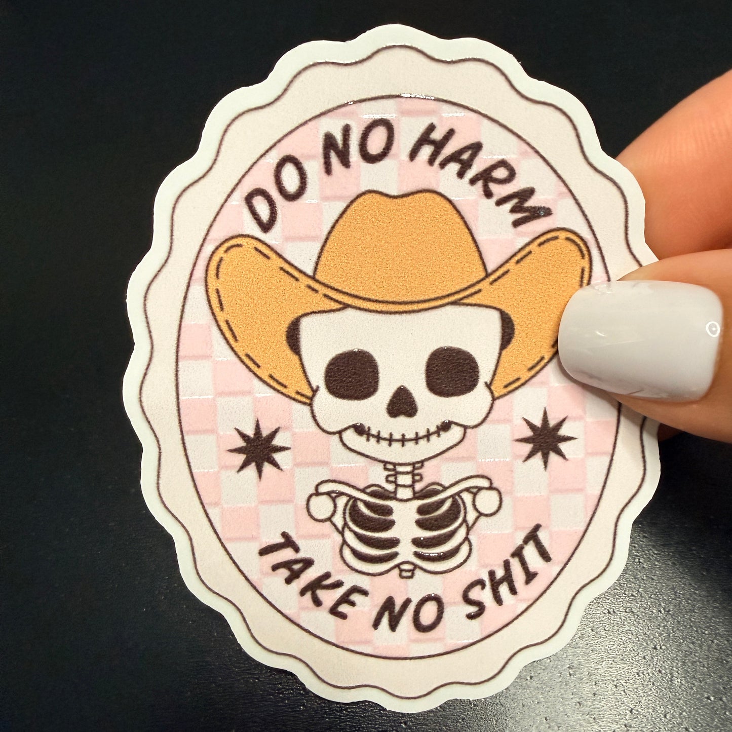 Do No Harm Take No Shit White Vinyl Sticker