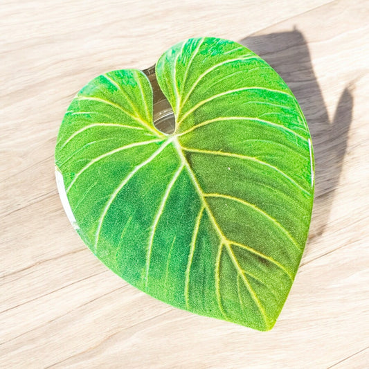 Large Plant Leaf PHONE GRIP